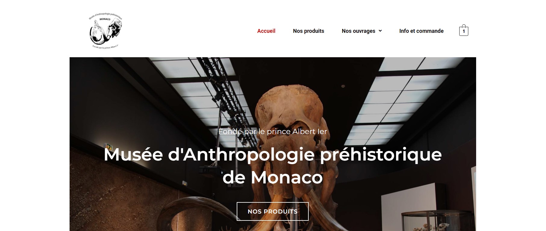 Présentation site internet Musée d'Anthropologie préhistorique